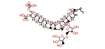 Protoceratin II